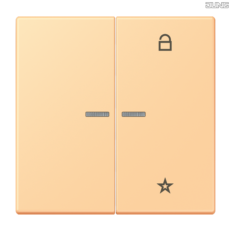 Jung BRG 12-5 PK 42 Abdeckung mit Kipphebel "Kegel" 1-fach 2 Kipphebel