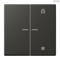 Jung BRG 12-5 PK 42 Abdeckung mit Kipphebel "Kegel" 1-fach 2 Kipphebel