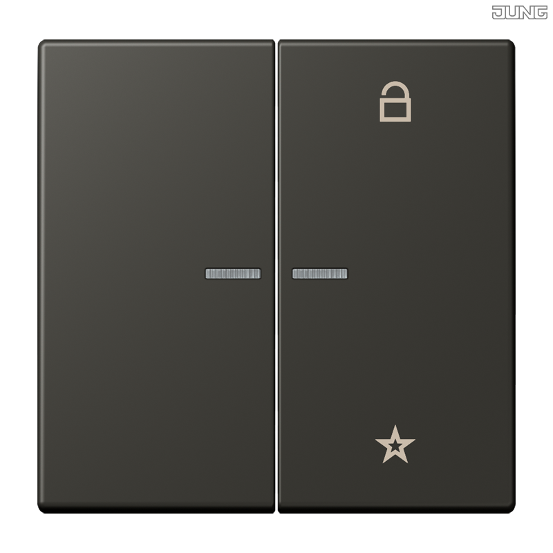 Jung BRG 12-5 PK 42 Abdeckung mit Kipphebel "Kegel" 1-fach 2 Kipphebel