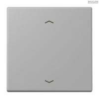 Jung BRG 12-5 PK 42 Abdeckung mit Kipphebel "Kegel" 1-fach 2 Kipphebel