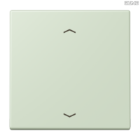 Jung BRG 12-5 PK 42 Abdeckung mit Kipphebel "Kegel" 1-fach 2 Kipphebel