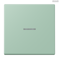 Jung BRG 12-5 PK 42 Abdeckung mit Kipphebel "Kegel" 1-fach 2 Kipphebel