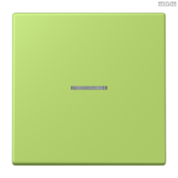 Jung BRG 12-5 PK 42 Abdeckung mit Kipphebel "Kegel" 1-fach 2 Kipphebel