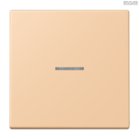 Jung BRG 12-5 PK 42 Abdeckung mit Kipphebel "Kegel" 1-fach 2 Kipphebel