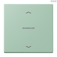Jung BRG 12-5 PK 42 Abdeckung mit Kipphebel "Kegel" 1-fach 2 Kipphebel
