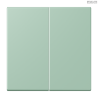 Jung BRG 12-5 PK 42 Abdeckung mit Kipphebel "Kegel" 1-fach 2 Kipphebel