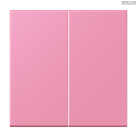 Jung BRG 12-5 PK 42 Abdeckung mit Kipphebel "Kegel" 1-fach 2 Kipphebel