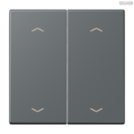 Jung BRG 12-5 PK 42 Abdeckung mit Kipphebel "Kegel" 1-fach 2 Kipphebel