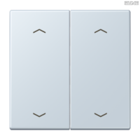 Jung BRG 12-5 PK 42 Abdeckung mit Kipphebel "Kegel" 1-fach 2 Kipphebel