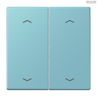 Jung BRG 12-5 PK 42 Abdeckung mit Kipphebel "Kegel" 1-fach 2 Kipphebel