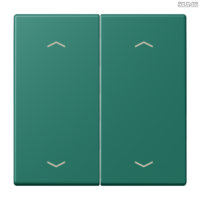 Jung BRG 12-5 PK 42 Abdeckung mit Kipphebel "Kegel" 1-fach 2 Kipphebel