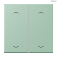 Jung BRG 12-5 PK 42 Abdeckung mit Kipphebel "Kegel" 1-fach 2 Kipphebel
