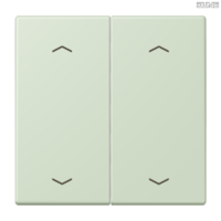 Jung BRG 12-5 PK 42 Abdeckung mit Kipphebel "Kegel" 1-fach 2 Kipphebel