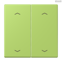 Jung BRG 12-5 PK 42 Abdeckung mit Kipphebel "Kegel" 1-fach 2 Kipphebel