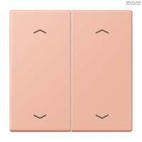 Jung BRG 12-5 PK 42 Abdeckung mit Kipphebel "Kegel" 1-fach 2 Kipphebel