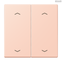 Jung BRG 12-5 PK 42 Abdeckung mit Kipphebel "Kegel" 1-fach 2 Kipphebel