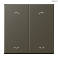Jung BRG 12-5 PK 42 Abdeckung mit Kipphebel "Kegel" 1-fach 2 Kipphebel