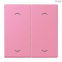 Jung BRG 12-5 PK 42 Abdeckung mit Kipphebel "Kegel" 1-fach 2 Kipphebel