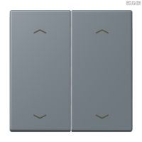 Jung BRG 12-5 PK 42 Abdeckung mit Kipphebel "Kegel" 1-fach 2 Kipphebel
