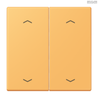 Jung BRG 12-5 PK 42 Abdeckung mit Kipphebel "Kegel" 1-fach 2 Kipphebel