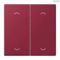 Jung BRG 12-5 PK 42 Abdeckung mit Kipphebel "Kegel" 1-fach 2 Kipphebel