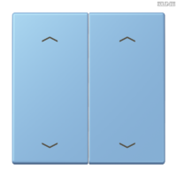Jung BRG 12-5 PK 42 Abdeckung mit Kipphebel "Kegel" 1-fach 2 Kipphebel