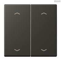 Jung BRG 12-5 PK 42 Abdeckung mit Kipphebel "Kegel" 1-fach 2 Kipphebel