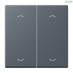 Jung BRG 12-5 PK 42 Abdeckung mit Kipphebel "Kegel" 1-fach 2 Kipphebel