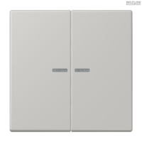 Jung BRG 12-5 PK 42 Abdeckung mit Kipphebel "Kegel" 1-fach 2 Kipphebel