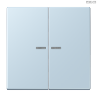 Jung BRG 12-5 PK 42 Abdeckung mit Kipphebel "Kegel" 1-fach 2 Kipphebel