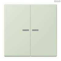 Jung BRG 12-5 PK 42 Abdeckung mit Kipphebel "Kegel" 1-fach 2 Kipphebel