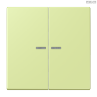 Jung BRG 12-5 PK 42 Abdeckung mit Kipphebel "Kegel" 1-fach 2 Kipphebel