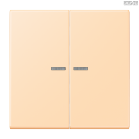 Jung BRG 12-5 PK 42 Abdeckung mit Kipphebel "Kegel" 1-fach 2 Kipphebel