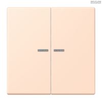 Jung BRG 12-5 PK 42 Abdeckung mit Kipphebel "Kegel" 1-fach 2 Kipphebel
