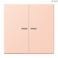 Jung BRG 12-5 PK 42 Abdeckung mit Kipphebel "Kegel" 1-fach 2 Kipphebel