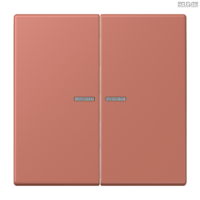 Jung BRG 12-5 PK 42 Abdeckung mit Kipphebel "Kegel" 1-fach 2 Kipphebel
