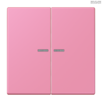 Jung BRG 12-5 PK 42 Abdeckung mit Kipphebel "Kegel" 1-fach 2 Kipphebel