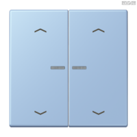 Jung BRG 12-5 PK 42 Abdeckung mit Kipphebel "Kegel" 1-fach 2 Kipphebel