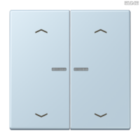 Jung BRG 12-5 PK 42 Abdeckung mit Kipphebel "Kegel" 1-fach 2 Kipphebel