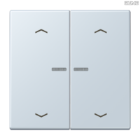 Jung BRG 12-5 PK 42 Abdeckung mit Kipphebel "Kegel" 1-fach 2 Kipphebel