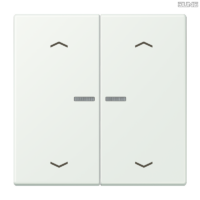 Jung BRG 12-5 PK 42 Abdeckung mit Kipphebel "Kegel" 1-fach 2 Kipphebel