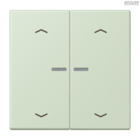 Jung BRG 12-5 PK 42 Abdeckung mit Kipphebel "Kegel" 1-fach 2 Kipphebel
