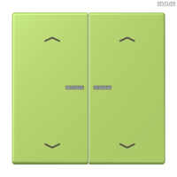 Jung BRG 12-5 PK 42 Abdeckung mit Kipphebel "Kegel" 1-fach 2 Kipphebel