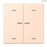 Jung BRG 12-5 PK 42 Abdeckung mit Kipphebel "Kegel" 1-fach 2 Kipphebel