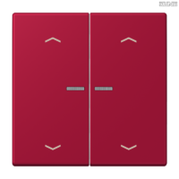 Jung BRG 12-5 PK 42 Abdeckung mit Kipphebel "Kegel" 1-fach 2 Kipphebel