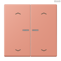 Jung BRG 12-5 PK 42 Abdeckung mit Kipphebel "Kegel" 1-fach 2 Kipphebel