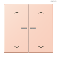 Jung BRG 12-5 PK 42 Abdeckung mit Kipphebel "Kegel" 1-fach 2 Kipphebel