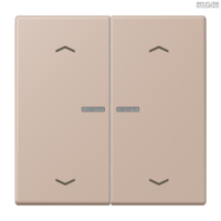 Jung BRG 12-5 PK 42 Abdeckung mit Kipphebel "Kegel" 1-fach 2 Kipphebel
