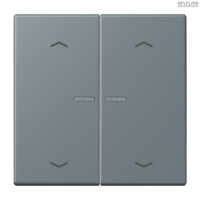 Jung BRG 12-5 PK 42 Abdeckung mit Kipphebel "Kegel" 1-fach 2 Kipphebel