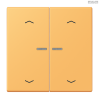 Jung BRG 12-5 PK 42 Abdeckung mit Kipphebel "Kegel" 1-fach 2 Kipphebel
